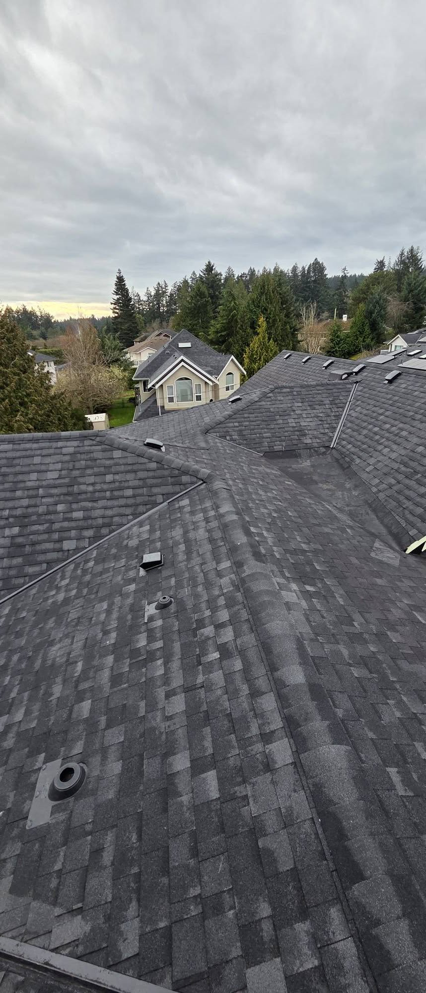 Finished architectural asphalt roof on a Saanich home
